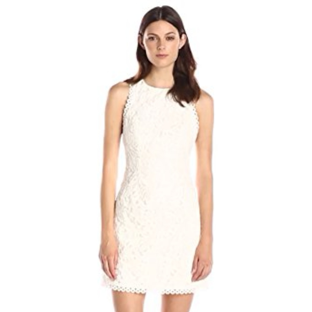 Cynthia Rowley embroidered organza mini dress